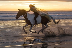 Talia-cantering-through-the-waves-joined-by-a-seagull