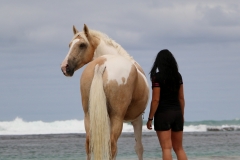 Alycia & Goldrush at the beach Australia 2