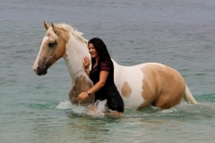 Alycia & Goldrush at the beach Australia 4