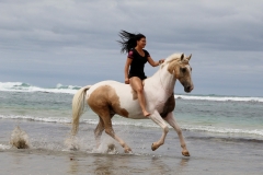 Alycia & Goldrush at the beach Australia 7