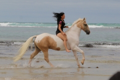 Cantering on the beach Australia 1