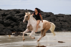 Cantering on the beach Australia 2