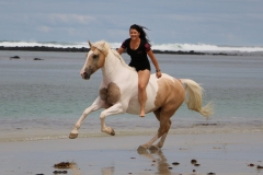 Cantering on the beach Australia 3