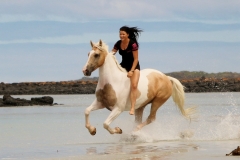 Cantering on the beach Australia 4
