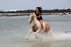 Galloping at the beach 1