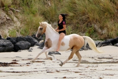 Galloping on the beach 2