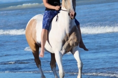 Nz Beach Ride 2