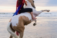 Rearing at the beach 2