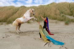 Rearing at the beach 4