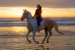 Sunset cantering