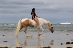 Walking on the beach Australia