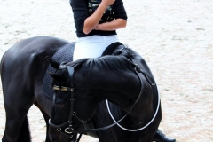 Filming Auckland (13)