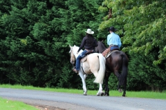 Filming Auckland (27)