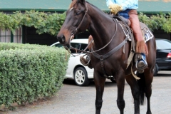 Filming Auckland (33)