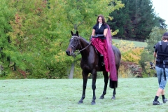 Filming Auckland (6)