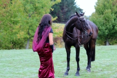 Filming Auckland (7)
