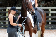 Filming Auckland (9)