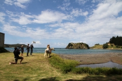 Filming Matai Bay Northland (15)
