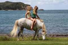 Filming Matai Bay Northland (16)