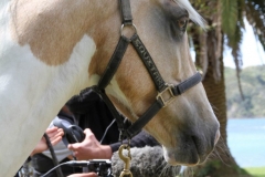 Filming Matai Bay Northland (19)