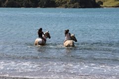 Filming Matai Bay Northland (2)