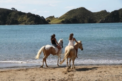 Filming Matai Bay Northland (24)