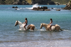 Filming Matai Bay Northland (25)
