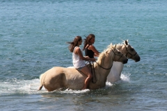 Filming Matai Bay Northland (3)