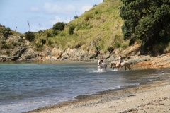 Filming Matai Bay Northland (30)