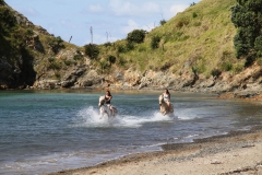 Filming Matai Bay Northland (31)
