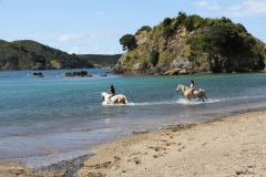 Filming Matai Bay Northland (33)