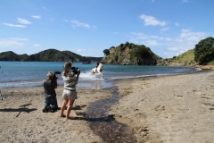 Filming Matai Bay Northland (36)