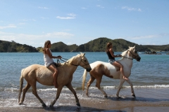 Filming Matai Bay Northland (39)