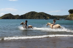 Filming Matai Bay Northland (40)