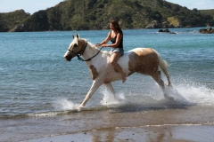 Filming Matai Bay Northland (44)