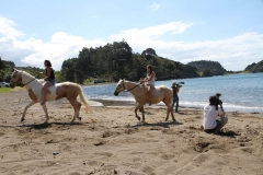 Filming Matai Bay Northland (46)