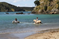 Filming Matai Bay Northland (6)