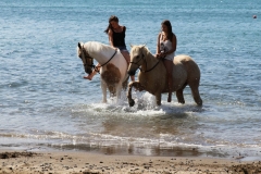 Filming Matai Bay Northland (9)