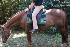 Alycia-Burton-Free-Rider-Saddles-58