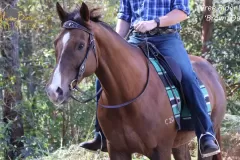 Alycia-Burton-Free-Rider-Saddles-61