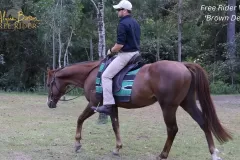 Alycia-Burton-Free-Rider-Saddles-63