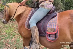 Alycia-Burton-Free-Rider-Saddles-64