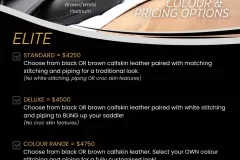 Alycia-Burton-Free-Rider-Saddles-77