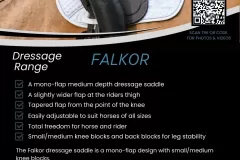 Alycia-Burton-Free-Rider-Saddles-80