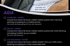 Alycia-Burton-Free-Rider-Saddles-81