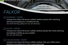 Alycia-Burton-Free-Rider-Saddles-83