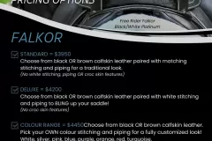 Alycia-Burton-Free-Rider-Saddles-84