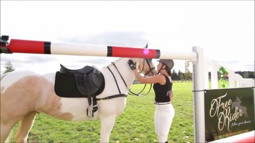 Alycia Burton & Goldrush Showjumping & Cross Country BIG. - Free Riding NZ