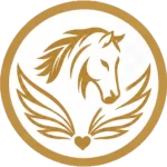 Horse Freedom and Comfort